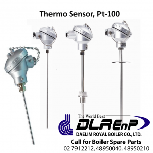 Thermo Sensor, Pt-100